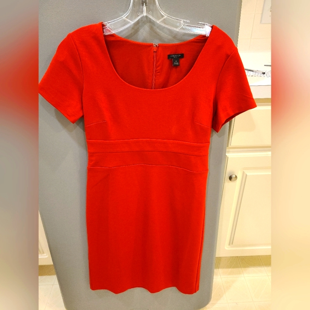 Ann Taylor Ladies Dress